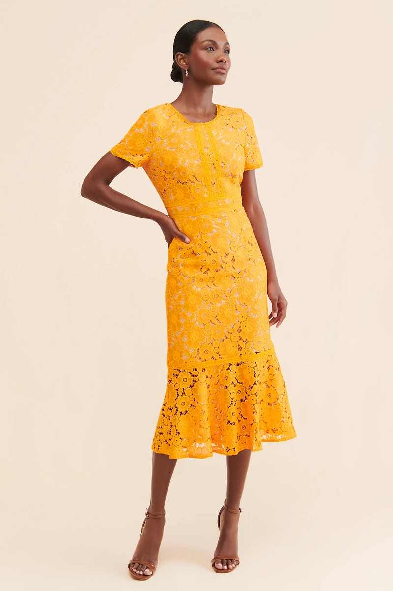 Rachel Parcell Fitted Lace Midi Dress