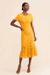 Rachel Parcell Fitted Lace Midi Dress