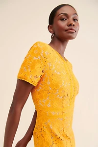 Rachel Parcell Fitted Lace Midi Dress