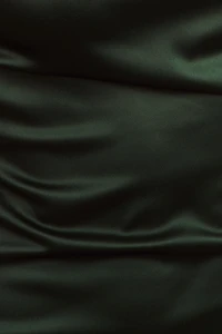 BHLDN Stretch Satin Small Forest Swatch