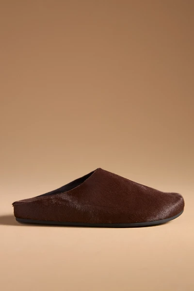 Jeffrey Campbell Content Mule Slides