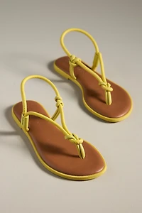 Havaianas Una Açai Thong Sandals