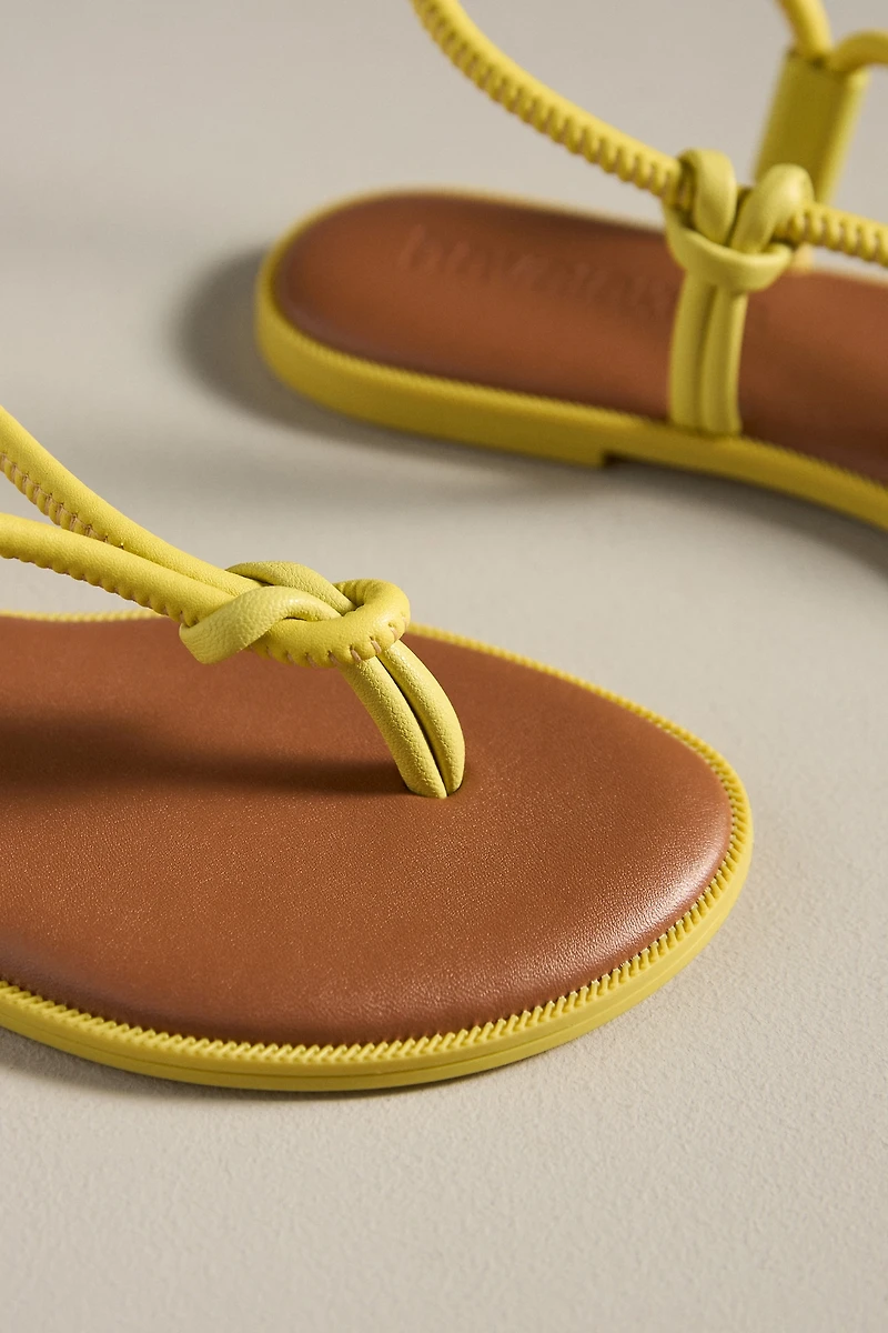 Havaianas Una Açai Thong Sandals