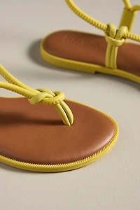 Havaianas Una Açai Thong Sandals