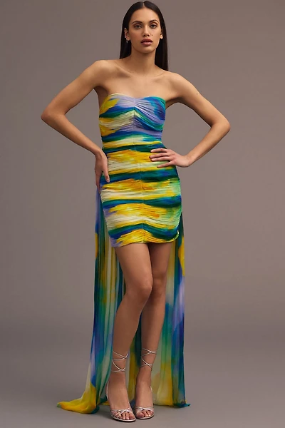 Vineet Bahl Blurred Sheer Mini Train Dress