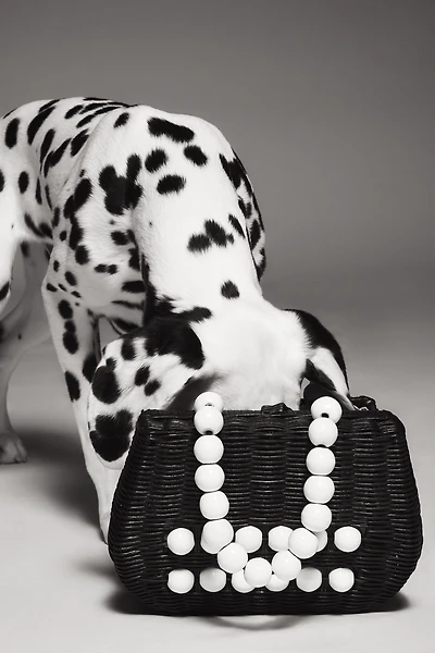 Bali Beaded Straw Satchel