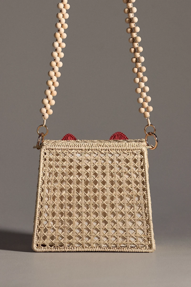 Mercedes Salazar Appliqué Raffia Bag