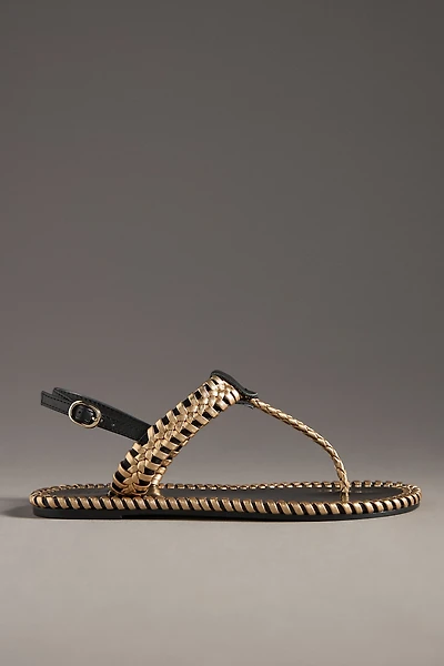 Cecelia New York Frenzy Sandals
