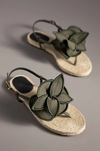 Castañer Poncha 3D Floral Thong Espadrille Sandals