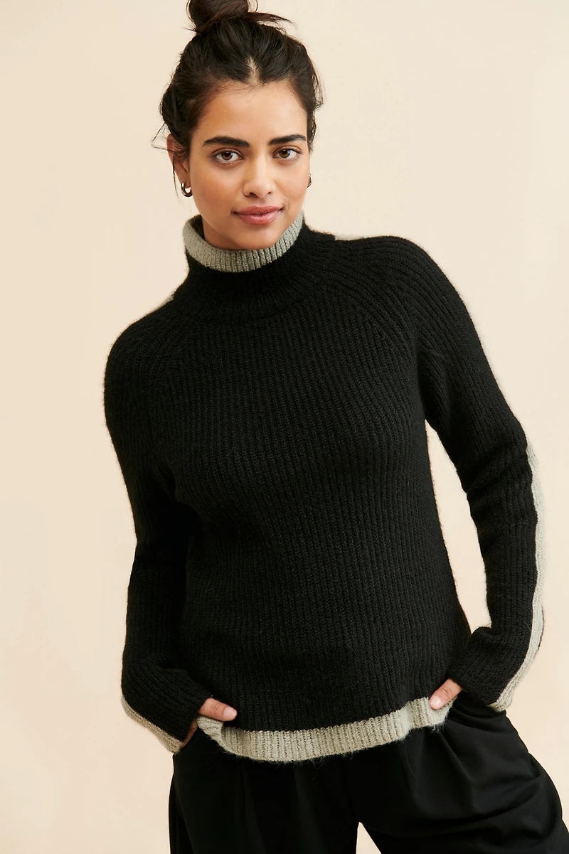 Theo & Spence 3 Tone Turtleneck Sweater