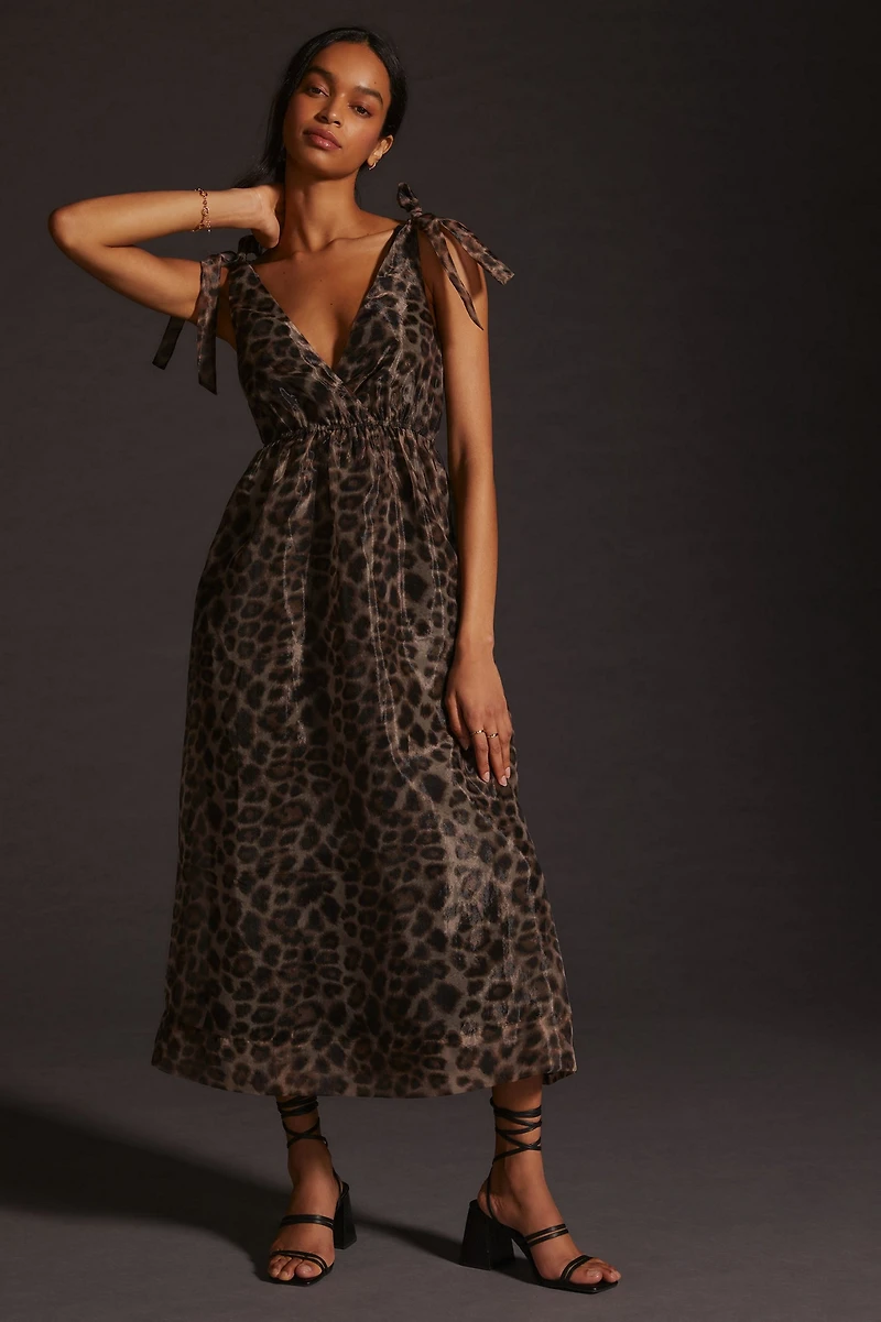 Daniel Rainn Organza Printed V-Neck Maxi Dress