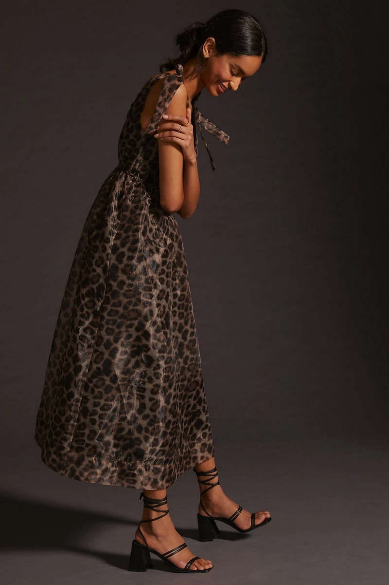 Daniel Rainn Organza Printed V-Neck Maxi Dress