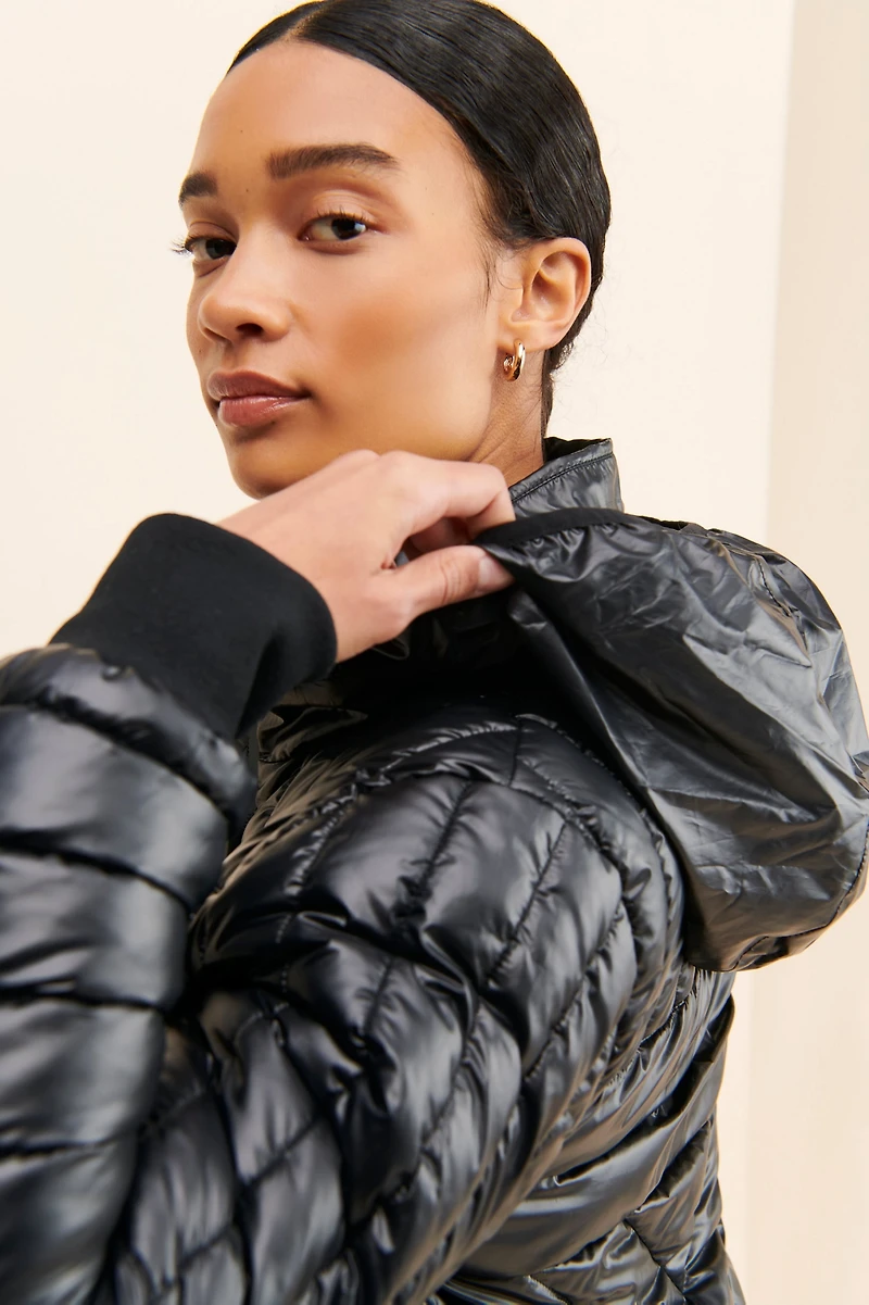 Numero Talon Shiny Puffer