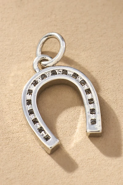 Lucky Horseshoe Jewelry Charm