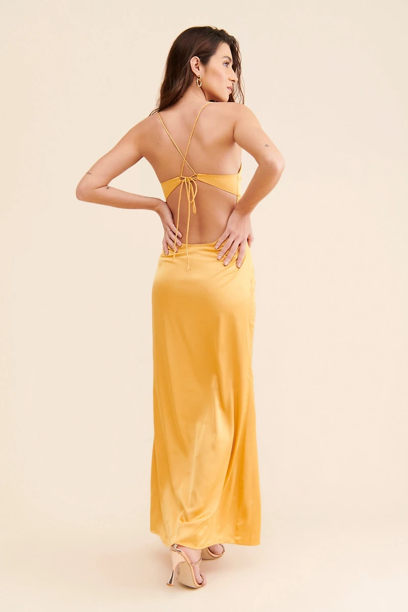 Allina Liu Chase Slip Dress