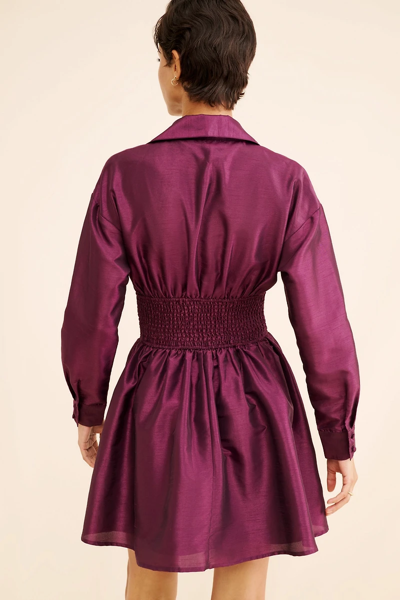 Hutch Iridescent Waisted Shirtdress