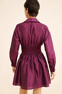 Hutch Iridescent Waisted Shirtdress