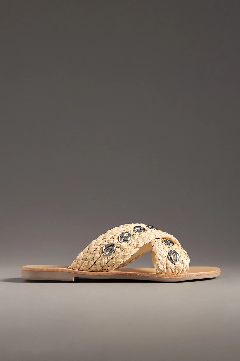 CAVERLEY Jenkin Embellished Shell Slide Sandals