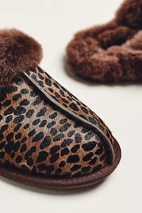 UGG Scuffette Caspian Slippers