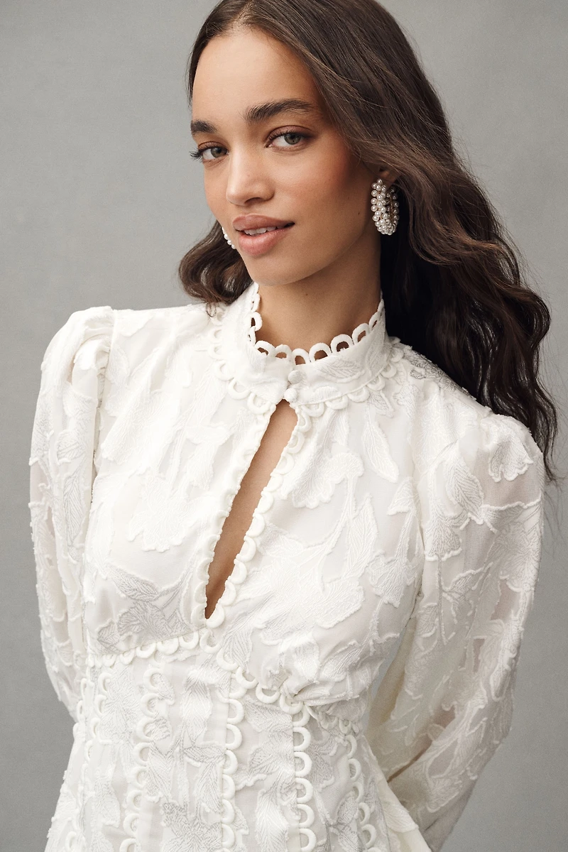 BHLDN Long-Sleeve High-Neck Floral A-Line Mini Dress