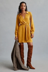 Leopard Print Long-Sleeve Mini Dress