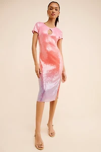 Hutch Sequin Ombre Slip Dress