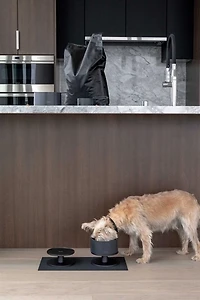 Boo Oh  Mogo Dog Bowl Stand