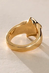 Bright Light Ring