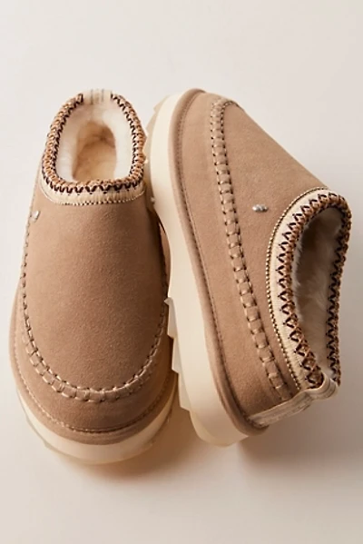 Sharky Adventure Scuff Slippers