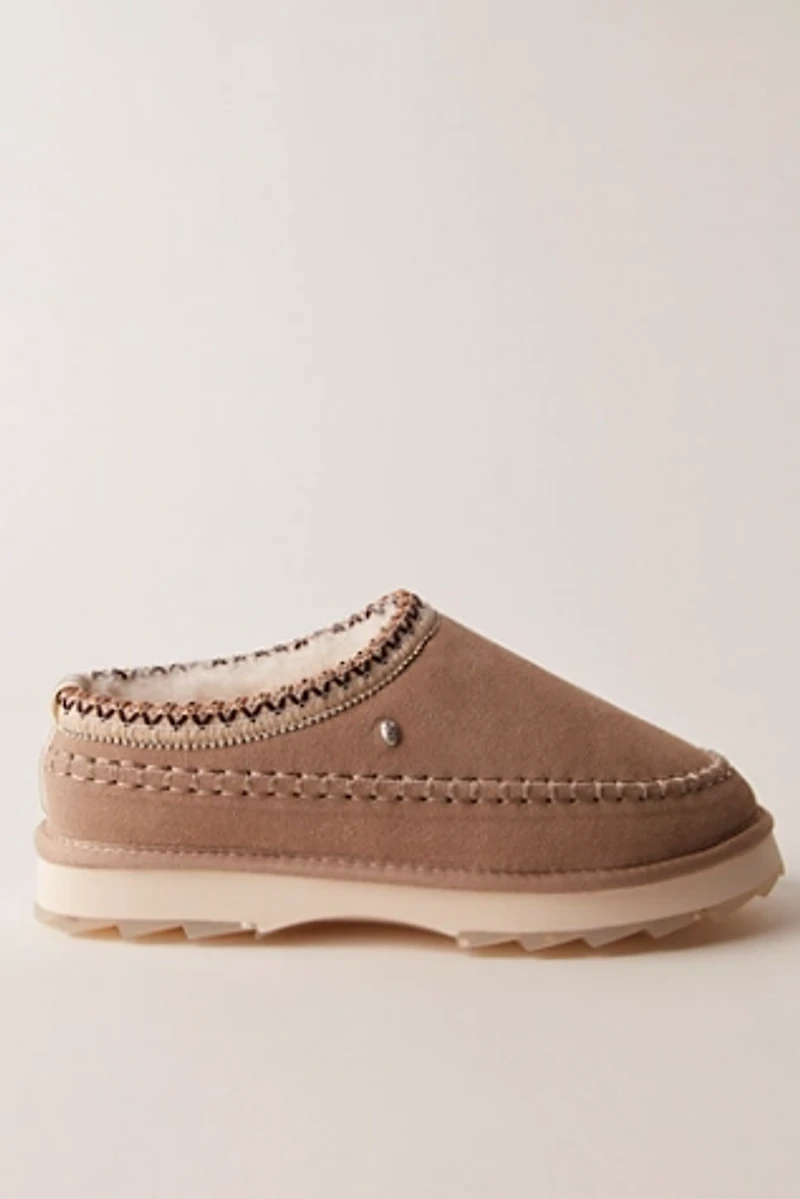 Sharky Adventure Scuff Slippers