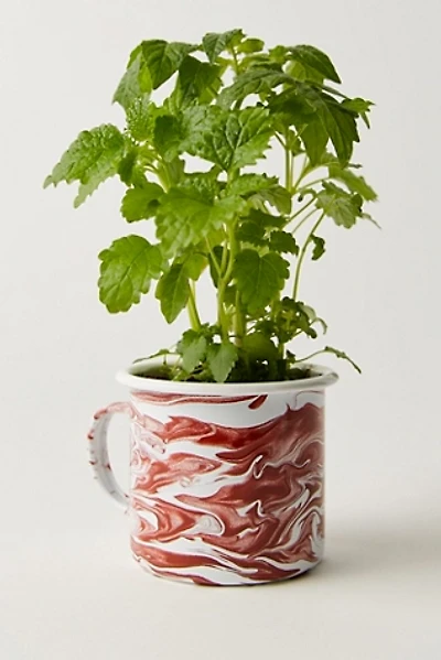 Altered Herb Mug Grow Kit