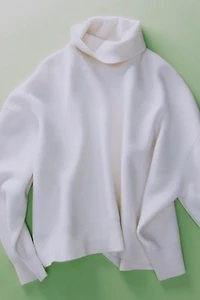 Sigma Turtleneck