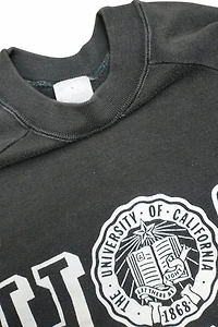 1980's UC Irvine Collegiate Sweatshirt Selected by Garbage Soup