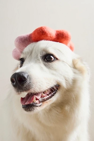 Wiggle Ring Felt Toy