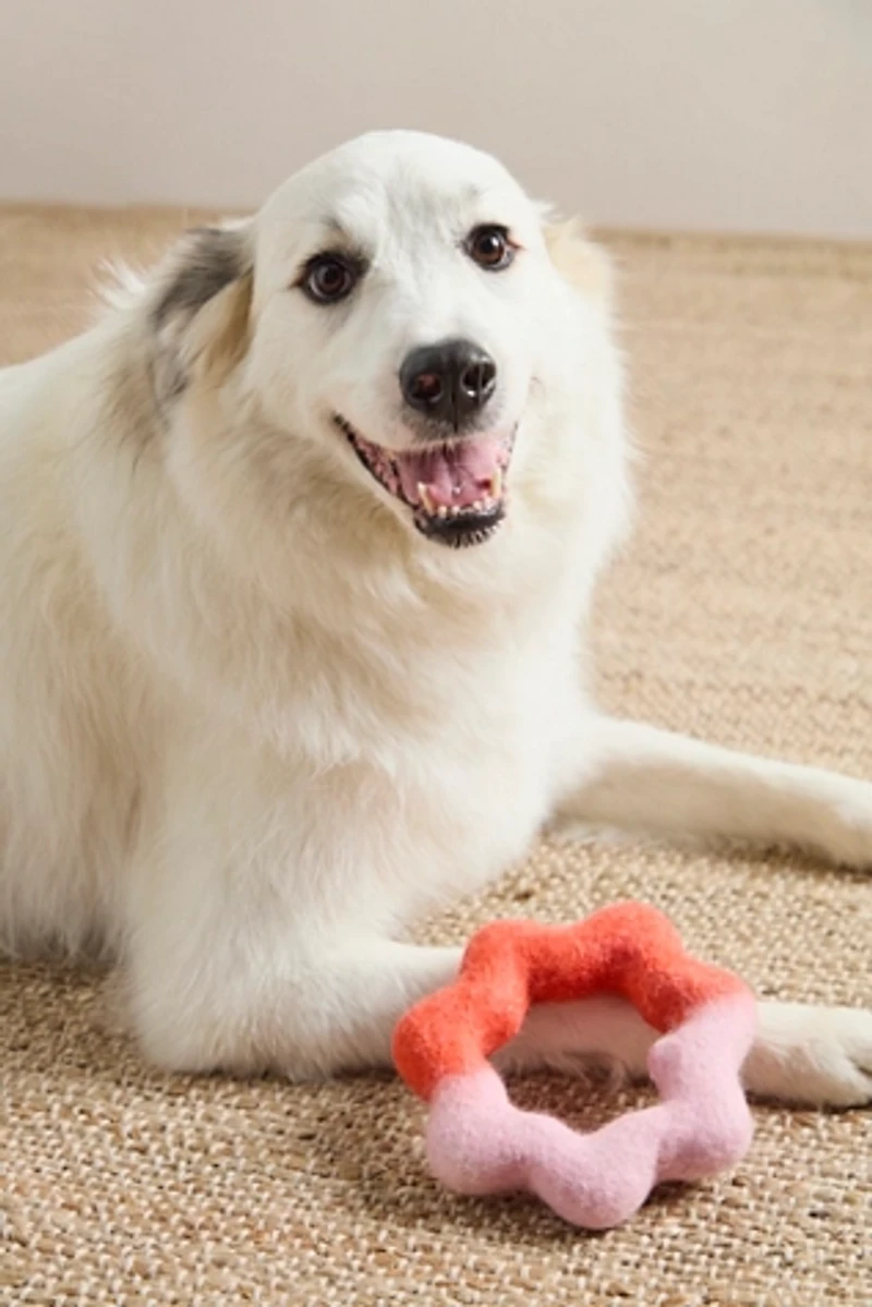 Wiggle Ring Felt Toy