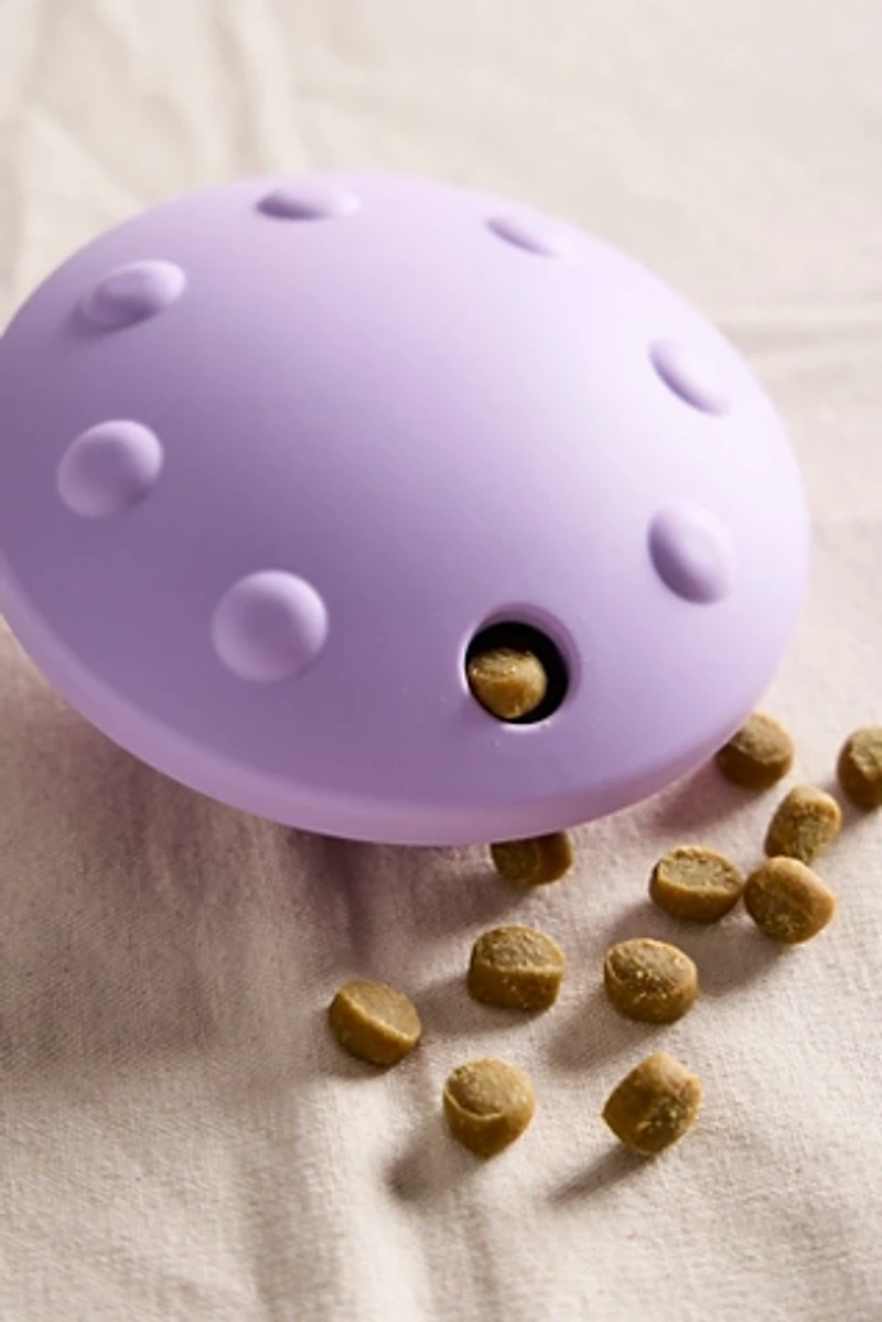 Flying Saucer Treat Puzzle