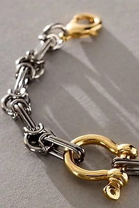 Paula Rosen Horseshoe Chain Bracelet
