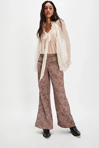 Aster Jacquard Flares