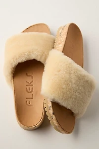 Fleks San Ysidro Slides