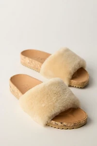 Fleks San Ysidro Slides