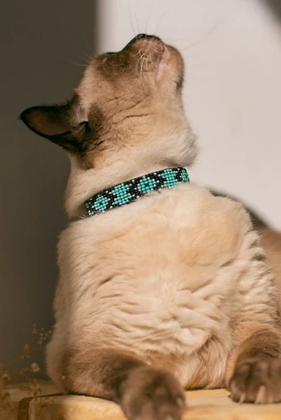 Sambboho Saint Barth Cat Collar