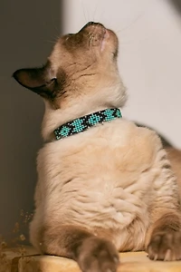 Sambboho Saint Barth Cat Collar