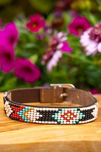 Sambboho Phoenix Cat Collar