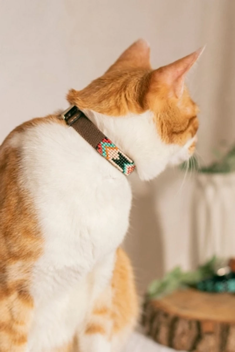 Sambboho Phoenix Cat Collar