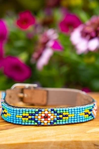 Sambboho Blue Vogue Cat Collar