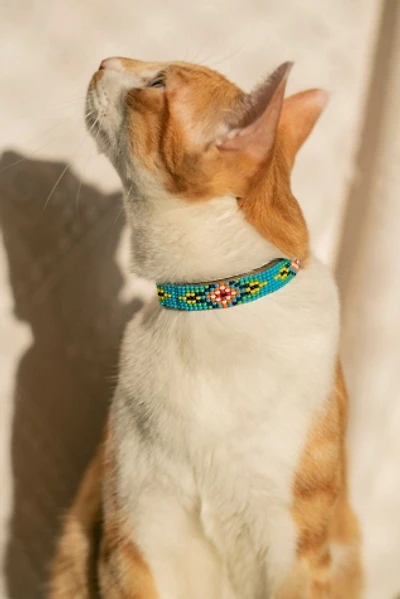 Sambboho Blue Vogue Cat Collar