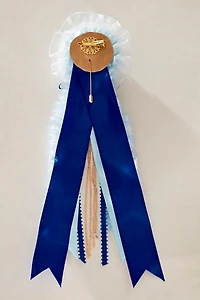Best Show Brooch