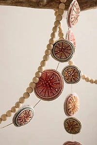 Dried Citrus Garland