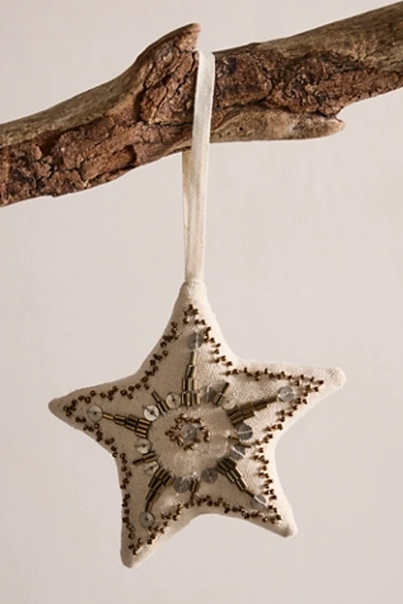 Embellished Star Ornament