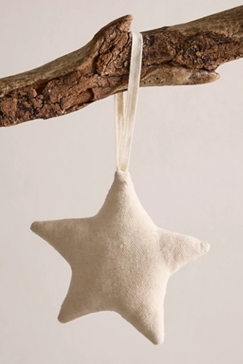 Embellished Star Ornament